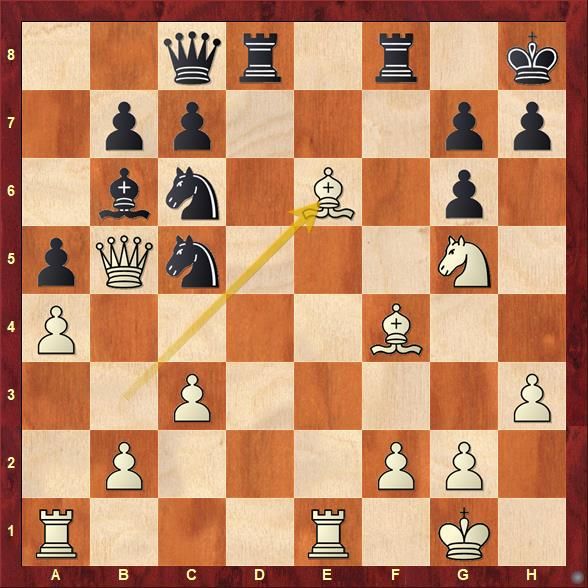 Indian Grandmaster R. Praggnanandhaa wins Norway chess open