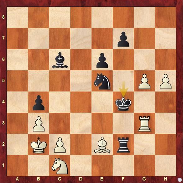 Stavanger 20230529.Magnus Carlsen plays blitz chess against