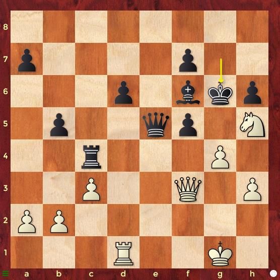 Dutch chess player Giri wins Tata Steel Chess Tournament 2023-Xinhua
