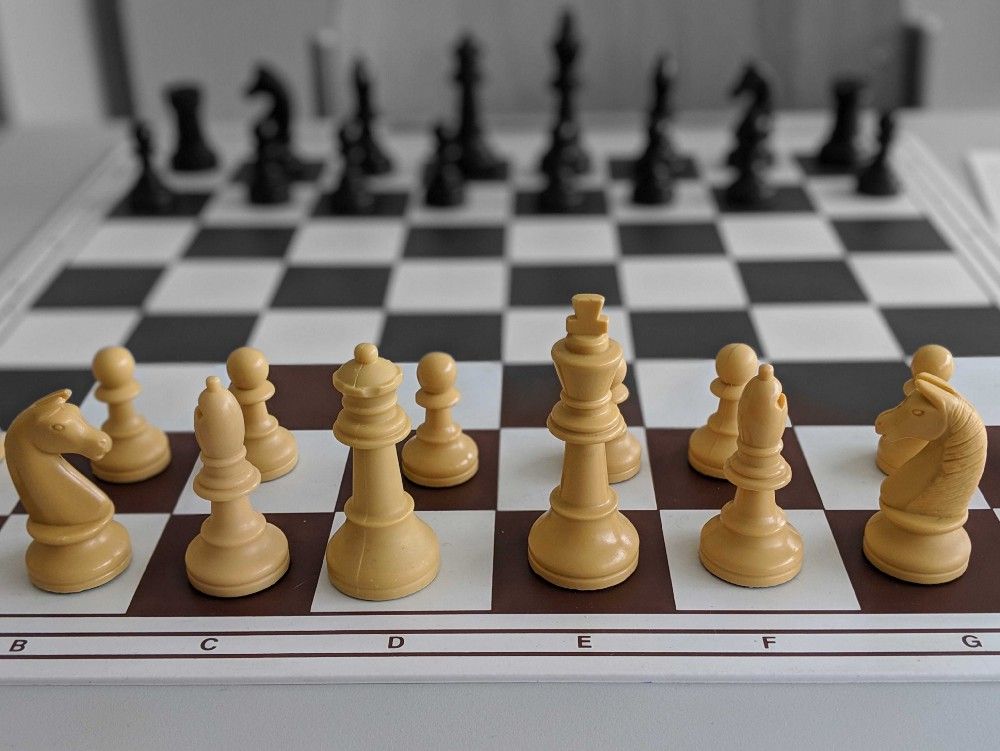 Buy ChessBase India Premium Chess Set (Green), Kids Online at Low