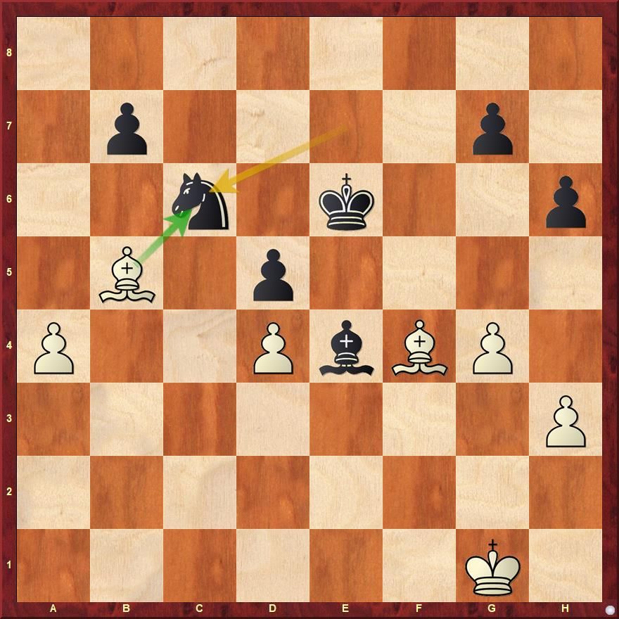 Don't miss your chance to play Harikrishna on chess24