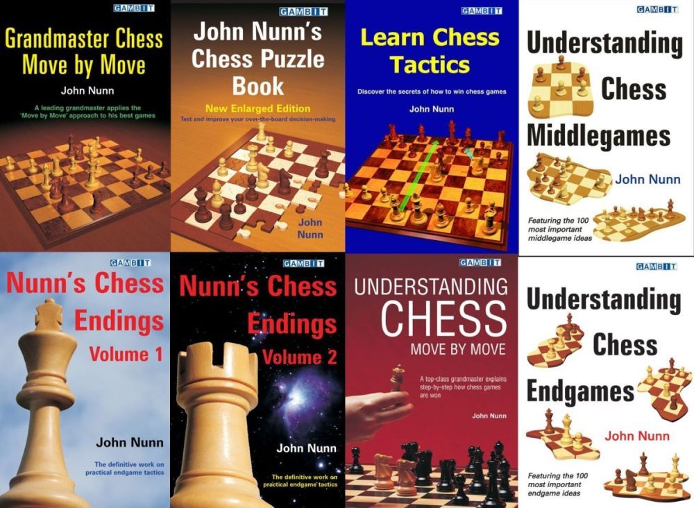 STRIKE LIKE JUDIT Hertan The Winning Tactics Of Chess Legend Judit Polgar